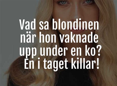 Blondin skämt Här är alla bästa blondinskämt Roliga skamt land se