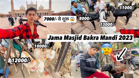 Delhi Ke Sabse Saste Bakre Jama Masjid Latest