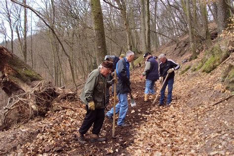 Activit S Du Club Club Vosgien De Dossenheim Sur Zinsel