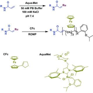 Scheme 2. Reaction mechanism of ring-opening polymerization (ROMP ...