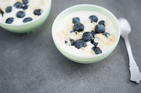 Griekse Yoghurt Met Blauwe Bessen Newfysic