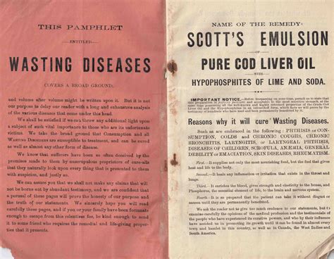 Wasting Diseases - Their Causes, Treatment and Cure - High Ridge Books ...