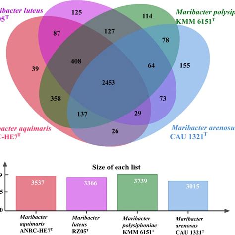 Phylogenomic Tree Of Strain ANRC HE7T And Other Type Strains In The