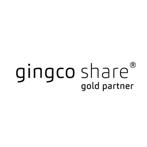 gingco share erfahrungen features  omr reviews