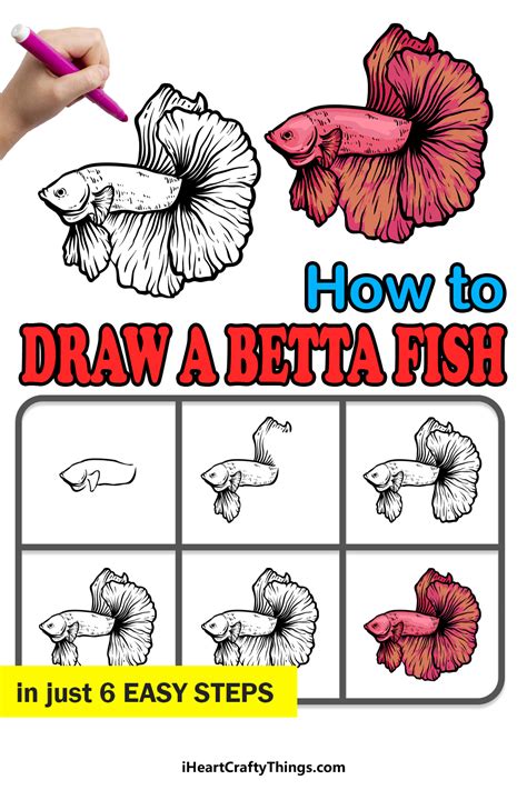 Betta Fish Drawing How To Draw A Betta Fish Step By Step Atelier Yuwa