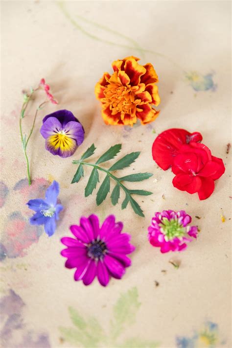 How To Make Flower Pounding Art Pretty Together