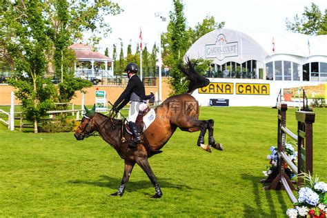 Spruce Meadows