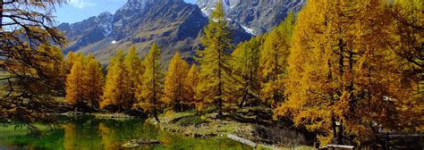 Hiking in Alagna Valsesia, Trekking & Walking Tours - Powrock