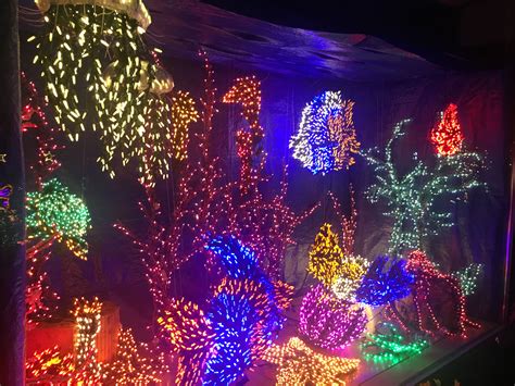 Christmas Lights Botanical Garden Bellevue Wa | Fasci Garden