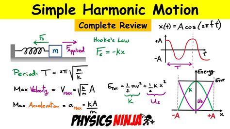 Simple Harmonic Motion Complete Review Of The Mass Spring System