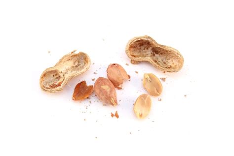 Nih Recommends Feeding Babies Peanut Based Foods To Lower Risk Of