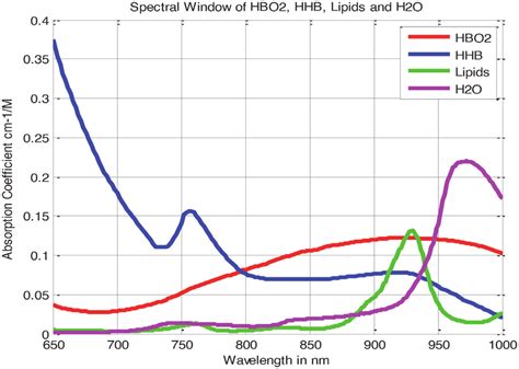 Absorption Spectra Of Deoxy Hemoglobin Hb Oxy Hemoglobin Hbo 2 Download Scientific