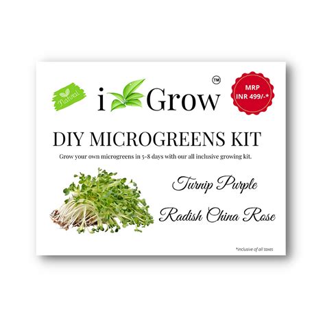 DIY MICROGREENS KIT | IGrow Store