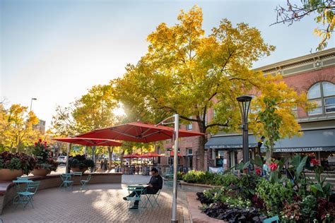 Fall Downtown Fort Collins Co