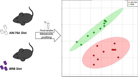 Metabolite Profiling Of The Gut Microbiome In Mice With Dietary