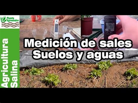 Cómo MEDIR la SALINIDAD de AGUAS y SUELOS para cuidar tus plantas