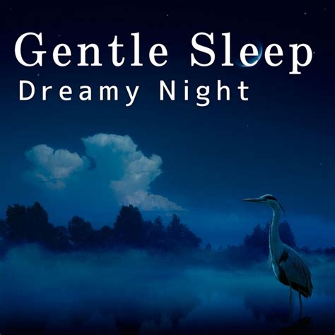 Dreamy Night Gentle Sleep Album By Love Bossa Spotify