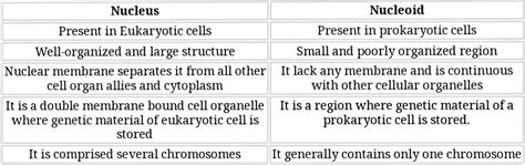 Solved What Is The Nucleoid How Is This Different Than A Nucleus How Is Course Hero