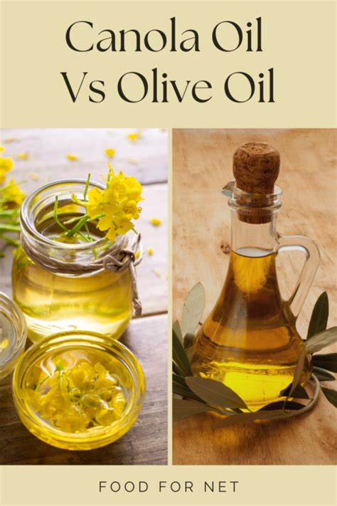 Canola Oil Vs Olive Oil Which One Wins Food For Net