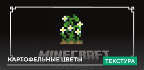 Текстуры Potato Flowers для Minecraft