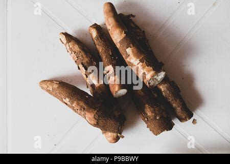 Manihot Esculenta Yuca Manioc Guacamota Cassava Raw Tuber Stock