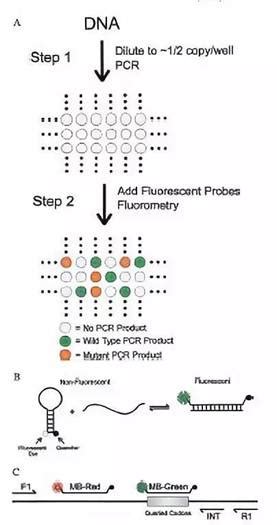 数字pcr原理及应用——gene π课堂之一 生物通