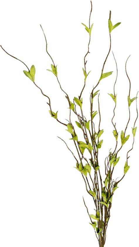 Amazon Wnvivi 6 Pcs Artificial Willow Branches With Leaves 44 Inch