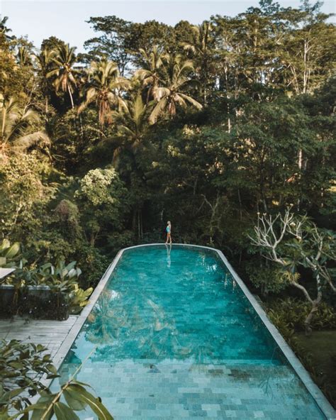 Explore the Serene Beauty of Ubud Bali with an Infinity Pool