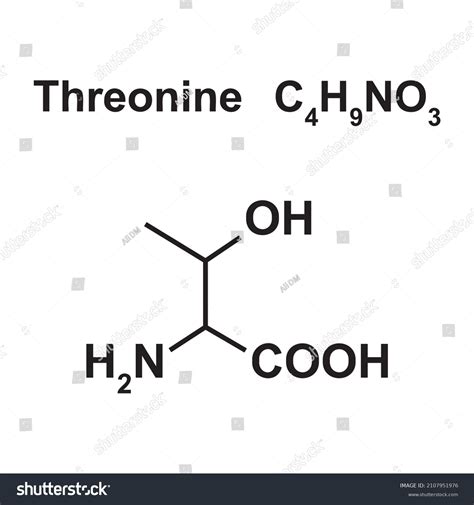 Threonine Amino Acid Chemical Structure Vector Stock Vector Royalty