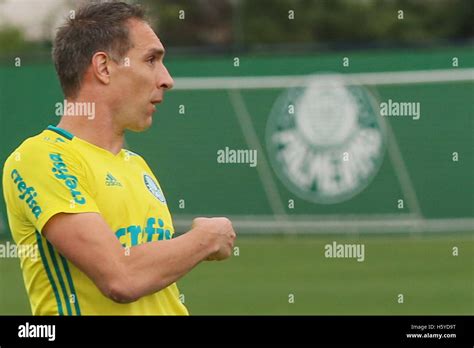 S O Paulo Sp Treino Do Palmeiras Pictured Goalkeeper