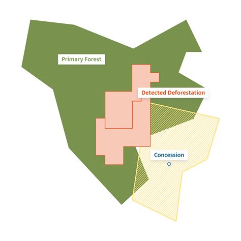 Deforestation — Satelligence