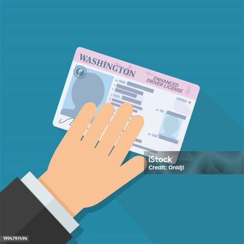 Presentation Of Your Washington Enhanced Drivers License Stock Illustration Download Image Now