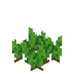 Beetroot Seeds – Minecraft Wiki