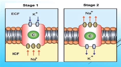 Counter Transport A To Z Presetation Lecture Youtube