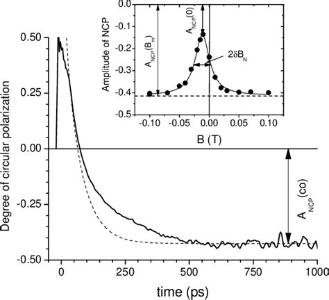 PDF Effect Of Nuclear Spins On The Electron Spin Dynamics In