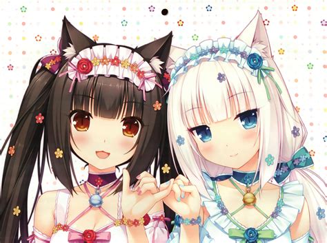 Nekopara Chocola Wallpapers Wallpaper Cave