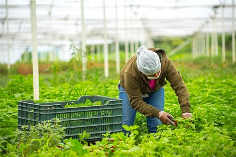 Firman convenio para incrementar productividad agrícola Prensa Animal