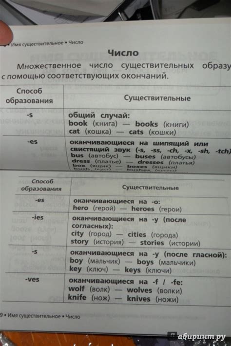 Книга: Все правила английского языка в схемах и таблицах для начальной ...