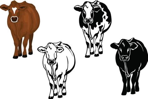 Holstein Cattle Illustrations Royalty Free Vector Graphics And Clip Art