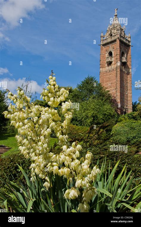 Nature Park With Flowers And Brick Tower Brandon Hill Nature Park