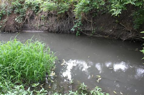 Premium Photo | A river with plants and trees