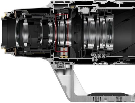 Canon RF 100-300mm f2.8 L IS USM - Foto Erhardt
