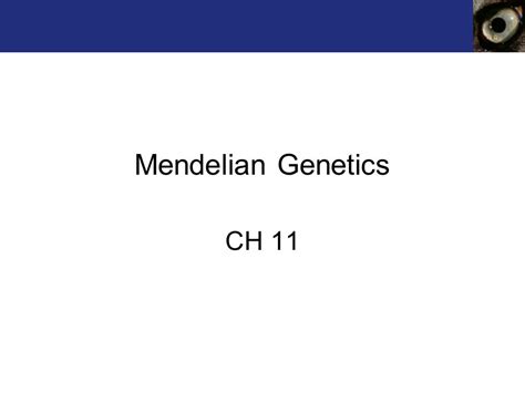 Mendelian Genetics Ch Ppt Video Online Download