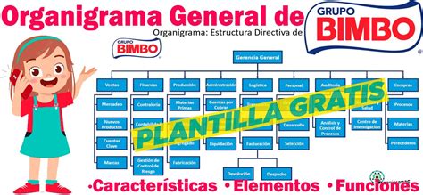 Organigrama General de Bimbo 2024 Características Elementos Funciones