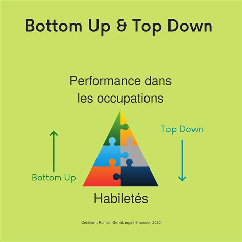 Bottom Up Top Down Explications Et Enjeux Cliniques En Ergoth Rapie