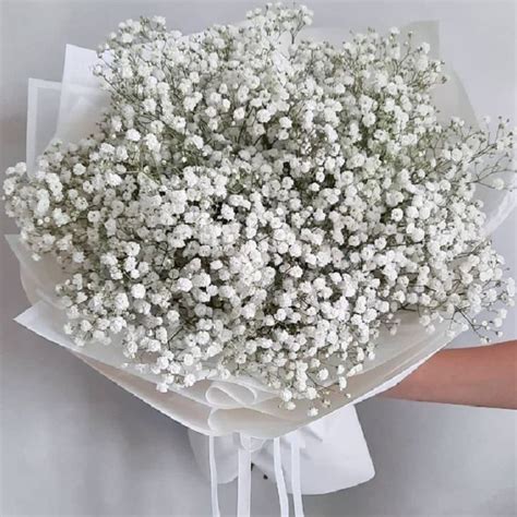 Beautiful Baby Breath Bouquet | Flowers Bouquet