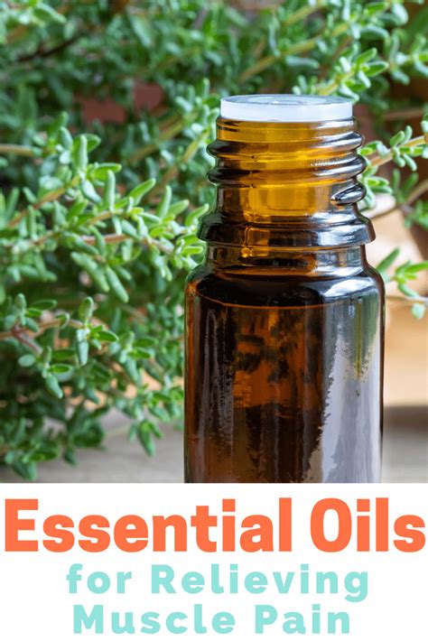 6 Essential Oils to Use for Muscle Pain | Healthy Living Tips