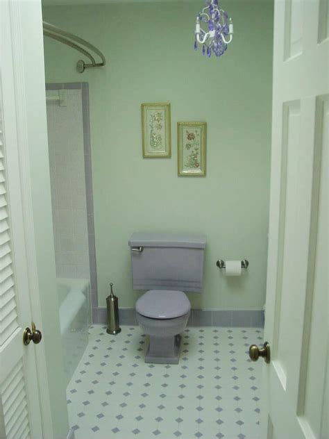 Amy and Mack's lovely lavender bathroom - "new" toilet from ReStore ...