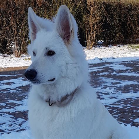 michal kutzmann youtube