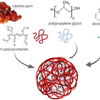 Schematic Representation Of The Polymers And Drug Organisation In